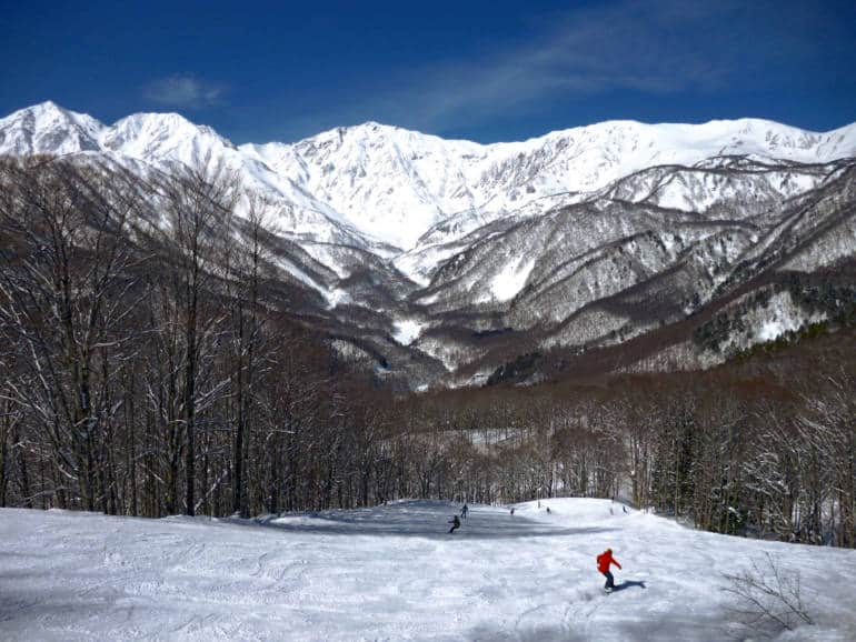 Hakuba Iwatake Snow Field, Nagano, Japan