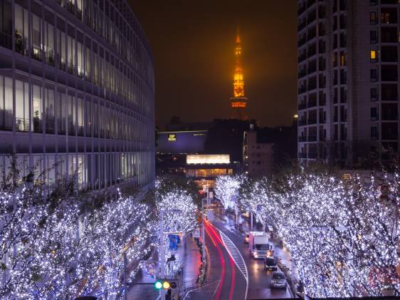 Winter illumination Roppongi Keyakizaka