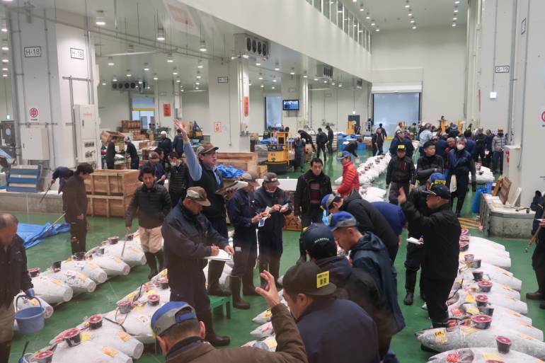 Toyosu Market tuna auction hand signs