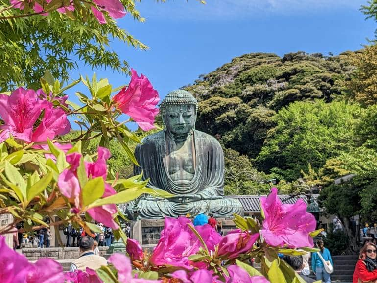 flowers buddha in kamakura