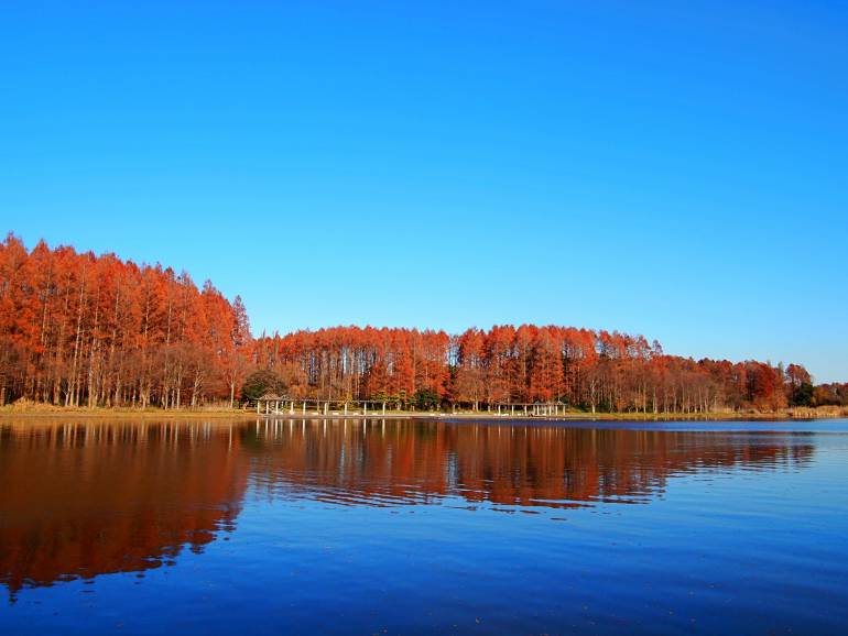 Mizumoto autumn foliage