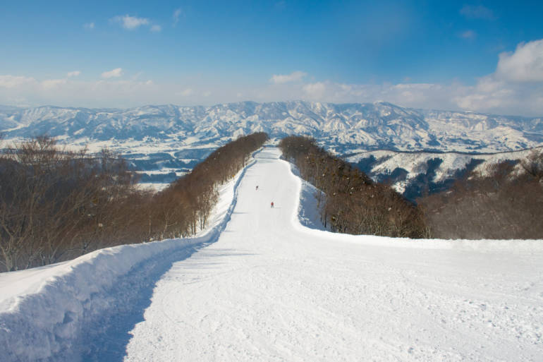 nozawa