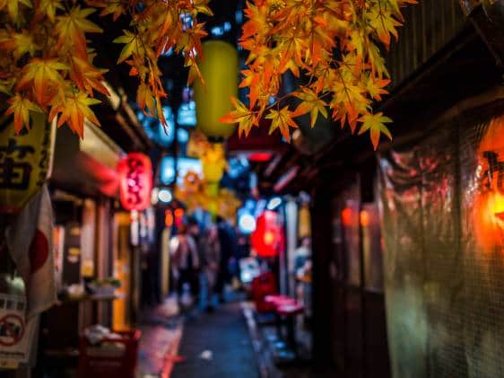 Tokyo autumn