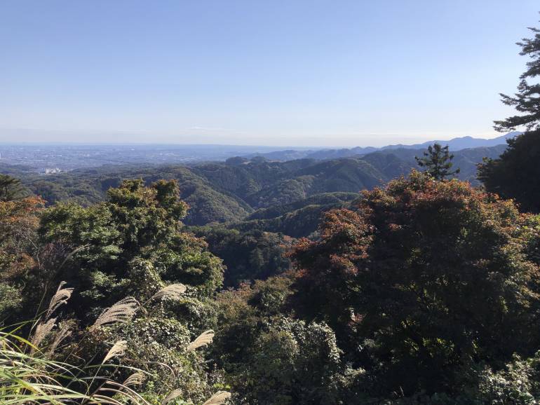 autumn colors on takao-san