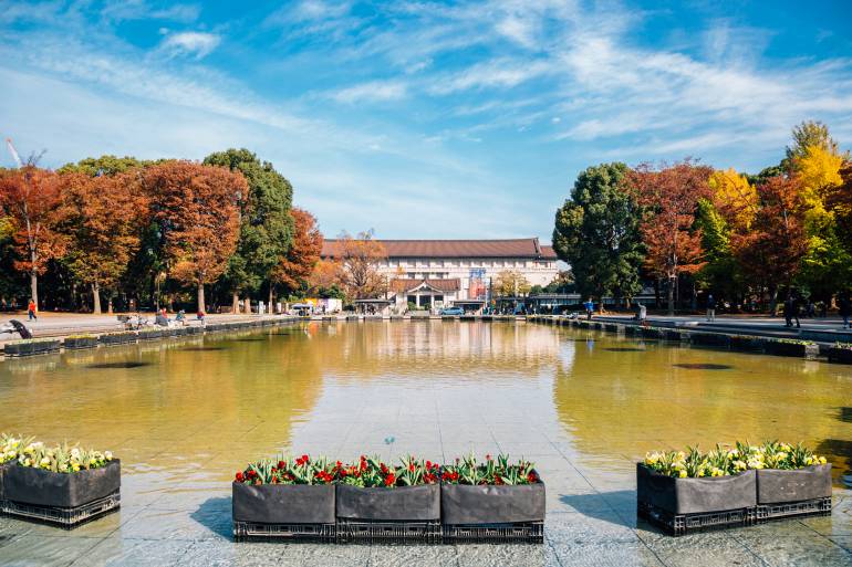 Autumn leaves Ueno Park 